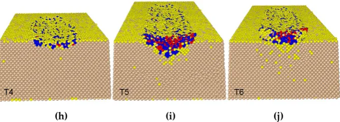 Figure 9. (a), whole cross-section view of phase distribution induced by rolling of particle with axial ratio 0.40; (b-d), cross-section view of initial loading region labelled by T1-T3 before the top substrate moving and (e-g) after the top substrate movi