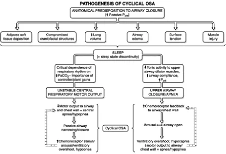 Figure 2. An integrated map of the pathogenesis of the cyclical nature of OSA. This map 