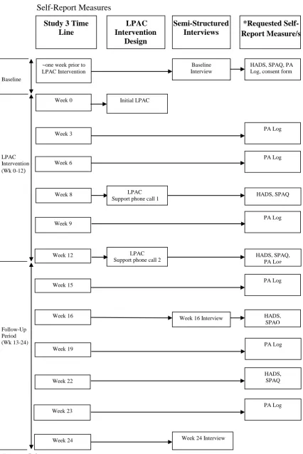 Figure 5.1. Flow Diagram of Study 3 Timeline for LPAC Intervention, Interviews, and 
