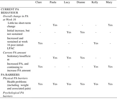 Figure 5.2. Example of the Way Group Level Thematic Analysis Results are Presented 