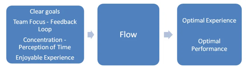 Figure 2.3 Proposed Model of Flow in Teams (Cosma, 1999) 