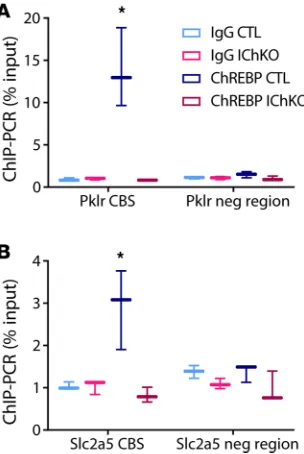 Figure 7. ChREBP binds directly to Pklr and Slc2a5 in the jejunum. ChIP was performed from jejunal tissue with anti–carbohydrate responsive element–binding protein (anti-ChREBP) antibody or IgG con-trol and qPCR was performed on immunoprecipitated chromati
