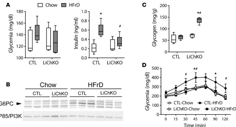 Figure 2. LiChKO mice demonstrate blunted increase in hepatic glucose production in response to fructose feeding