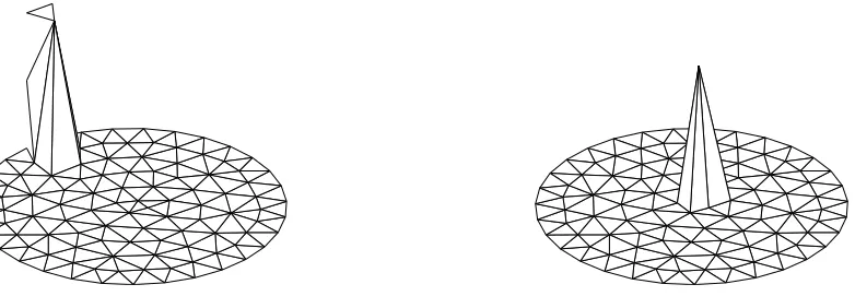 Figure 3: Representative test functions for the recovery of Udimensions which are compatible with strong imposition of Dirichlet boundary conditions via mass conservation in twousing the “compact” approach.