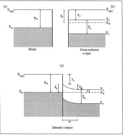 Figure 1.1 A schematic energy band diagram of a metal, (a) of work function (|)m and an n- 