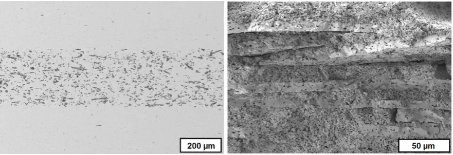 Figure 1. metal-ceramic composites manu-factured by 2C-CIM 