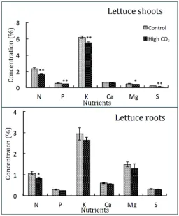 Figure 1. Nutrient concentration in lettuce at plants ambient and elevated [CO2]. Lettuce plants were grown at ambient (control) and elevated level of CO2 (700 ppm)