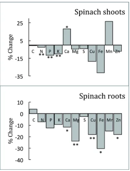 Figure 3. Nutrient concentration in spinach at ambient and elevated [CO2]. Spinach plants were grown at ambient and elevated level of CO2