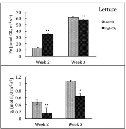 Figure 6. Biomass accumulation and leaf area in lettuce and spinach at ambient and elevated [CO2]