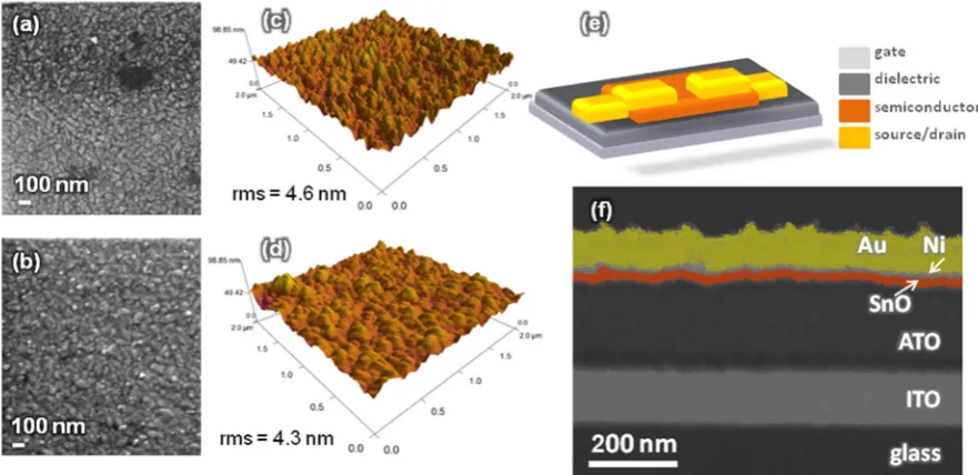 Figure 4. SEM images of post-annealed TFT channel layers prepared at Opp of (a) 3.0% and (b) 3.6%