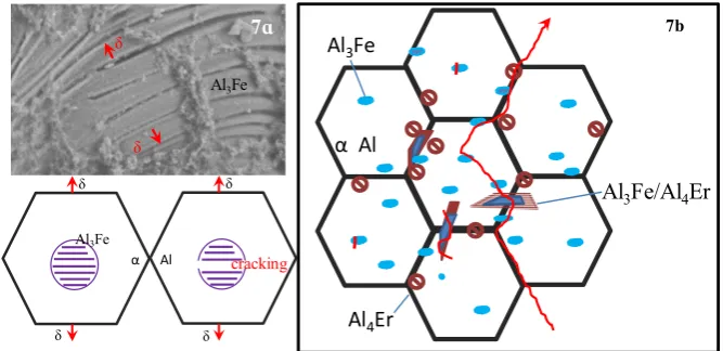 Fig.7 Schematic diagram of crack propagation in the Al3Fe(a) and in the alloy(b) 
