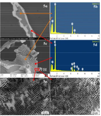 Fig.4 Highdensity twin morphology (a) and HREM image of (001) twinning of the Al3Fe phase 