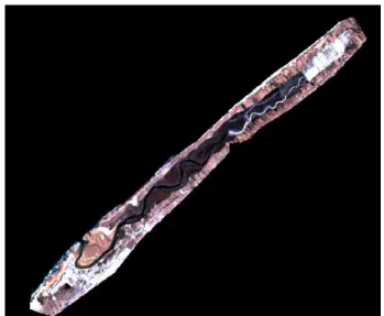 Fig. 2.   Image RBV de la zone humide de Oualidia 