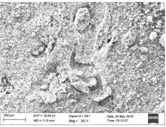 Figure 2 explains the FE-SEM analysis of Expanded Graphite done at IIT, MADRAS. The FE-SEM analysis explains the morphology of the material