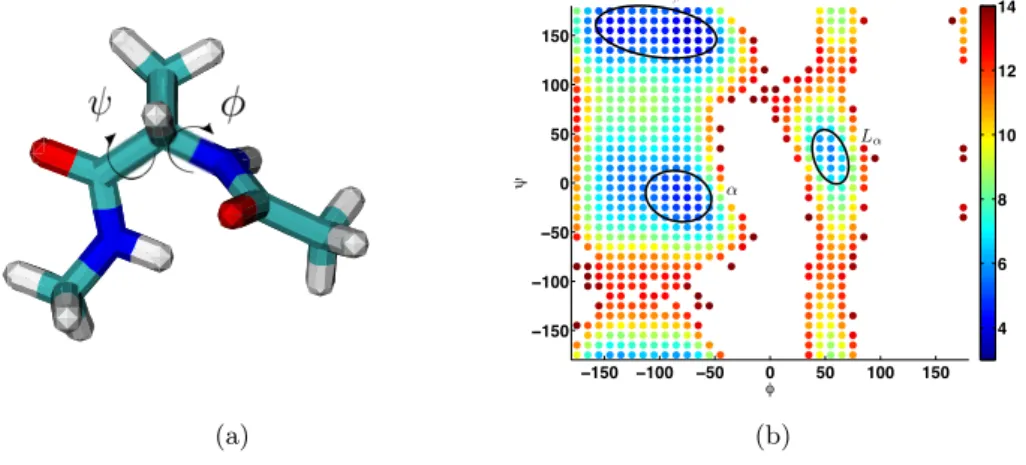 Fig. 4.3: (a) Alanine dipeptide. (b) Free energy g i = − log π i .