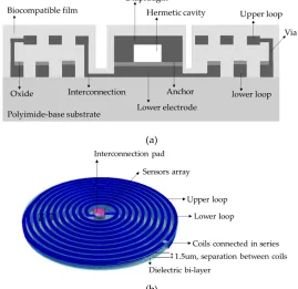 Figure 4. a) Cross section cut of the implantable sensor set and b) A 3D view. 