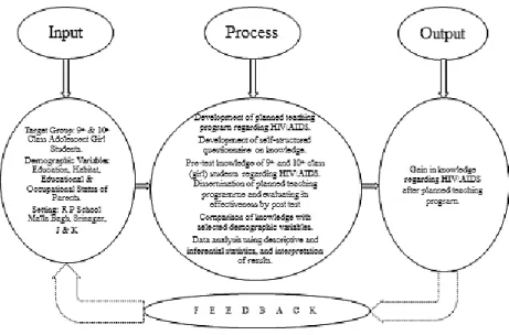 Figure 1: Schematic representation of Ludwig Von Bertanlaffy’s General System Model.          Note: Feedback was not used in this study