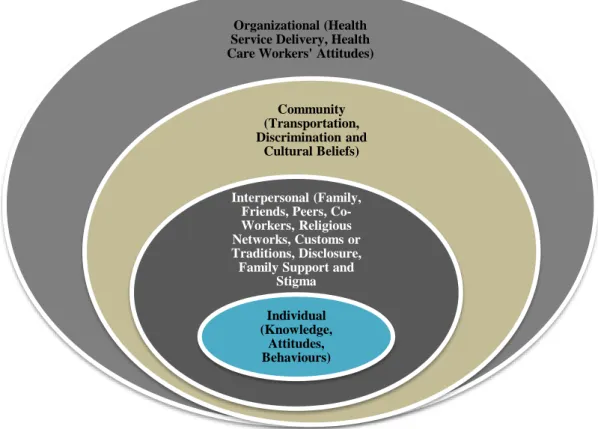 Figure 1: The CDC Socio-Ecological Model: Framework for Disease Prevention.   Source: Adapted from Gourlay et al