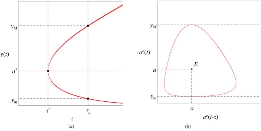 Figure 1. Cyclic oscillations for τ>τ∗ . (a) Bifurcation diagram; (b) Limit cycle with τ=τ 