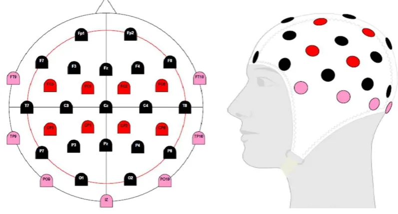 Figure 2. 2: EEG recording – the electrode is placed on the scalp and measures neural activity within the cortical level of a depth of 0.2 – 0.3 cm (adapted from Nunez & Srinivasan, 2006)