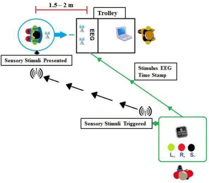 Figure 4. 4: EEG Move System Transmitter, secured to a GPS harness. 