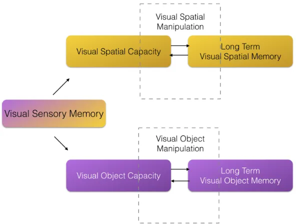 Figure 3.2. An Adapted Version of the Modal Model of Memory That Acknowledges the 