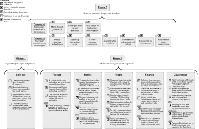 Figure 1. Framework for assessing the set-up and management of spinouts   
