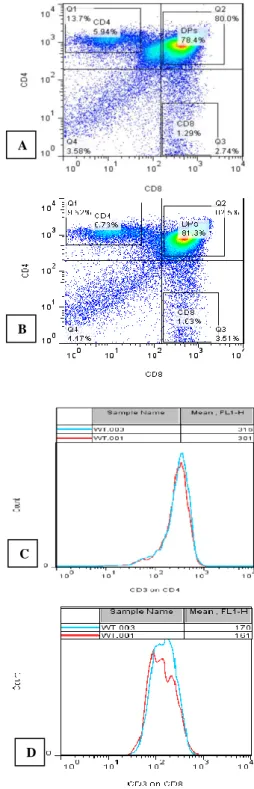 Figure 1: A=Bar graphs of thymic subsets, DNs, DPs,  CD4 and CD8 isolated from Dhh KO mice relative to  the WT control; B=Bar graphs representing actual  numbers of thymic cell populations DNs, DPs, CD4  and CD8 isolated from Dhh KO mice relative to WT  co