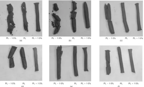 Fig. 8. State of soils prepared at water content close to plastic limit: (a) Norway clay; (b) mudstone; (c) London clay; (d) Belfast clay;(e) China red clay; (f) Winnipeg clay