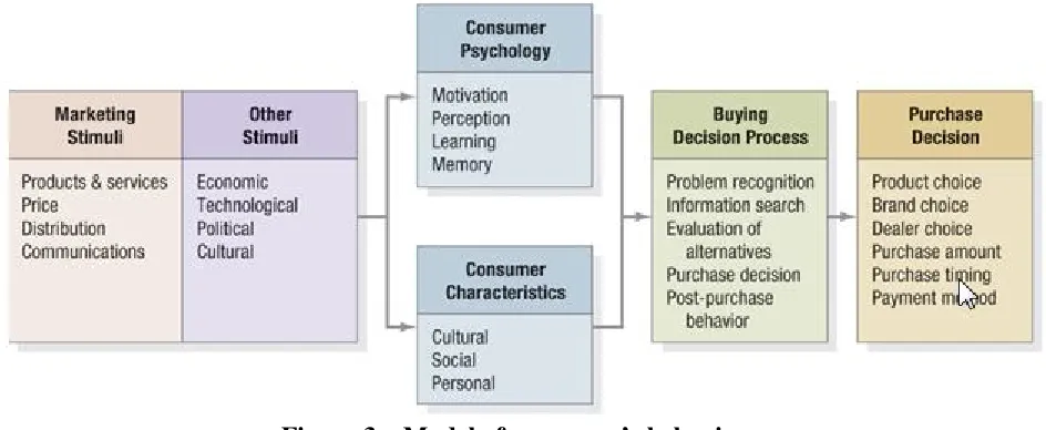 Figure 3 – Model of consumer’s behaviour 