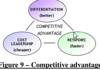 Figure 9 – Competitive advantage 