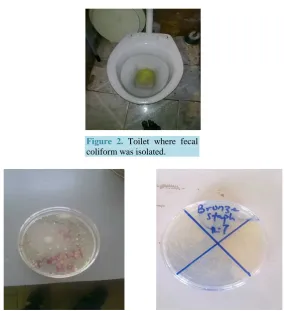 Figure 1. (a) Sectioned orange; (b) Wire loop; (c) Nutrient agar; (d) Nutrient broth.      