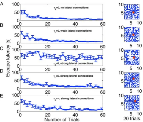 Figure 3. Learning performance for different variants of thelearning rule.as in Model architecture, Methods and Tables 1, 2.probabilityNavigation map after 20 trials visualized in the water maze by a setof direction vectors