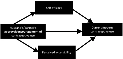 Figure 1:  Hypothesis