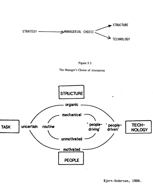 Figure 5.3 The Manager’s Choice of Alternatives