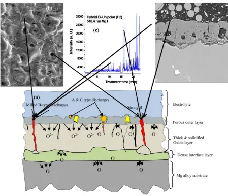 Figure 9. Schematic diagram of the discharge model showing the influence of B-type discharges on plasma temperature pro- file, surface morphology and on the cross section of the oxide coating