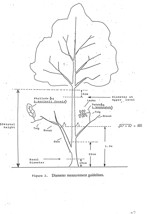 Figure 2. Diameter measurement guidelines.