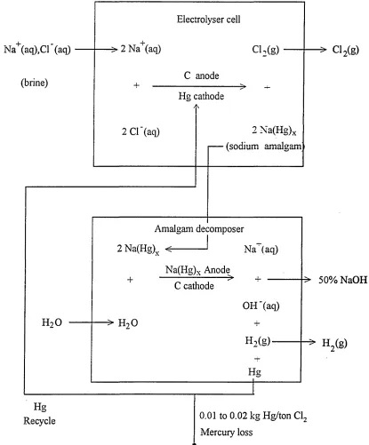 Figure 1.1 Schematic diagram of mercury cell for chloro-alkali production.