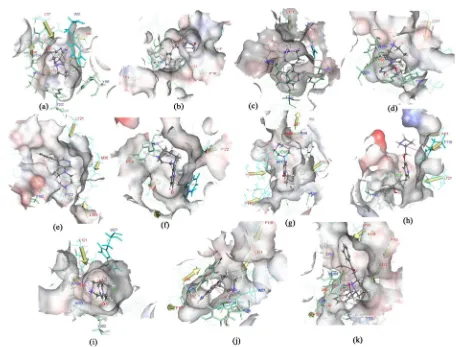 Figure 8. Ligands binding modes. Binding pocket surfaces are colored in the interpolated charge