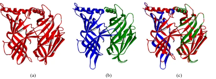 Figure 4. Homology model of the human α4β2 nAChR. Template structure Ct-AChBP color coded in red (a) and the homology model is shown in solid blue ribbons for α4 and green ribbons for β2 (b)