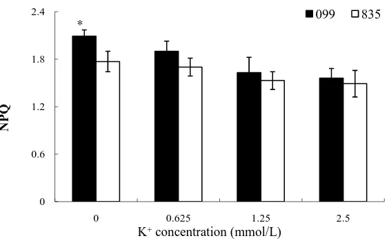 Figure 9. Effect of different K+ concentration on NPQ in two inbred lines.    