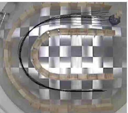 Fig. 10. Position estimation models, identifying the relation-ship between the position of the jacket in the image and theposition of the demonstrator referenced to the robot’s co-ordinate system
