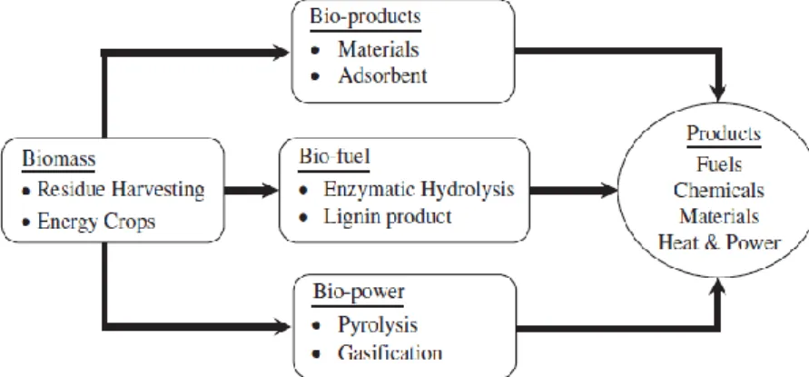 Figure 3.  The scope of biomass initiatives as renewable energy source [10] 