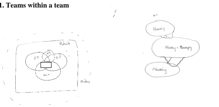 Figure 1. Teams within a team  