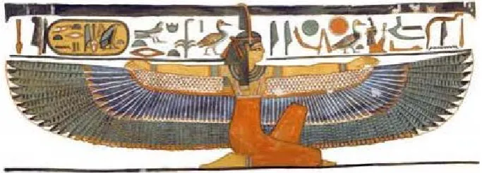 Figure 1(a). Maat looks to her right when she expects to be approached from the left (her right)