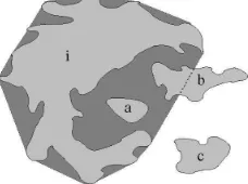 Figure 2: example of a convex-hull