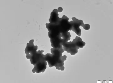 Figure 2. TEM Image of SMCs 