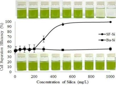 Figure 4. The cell separation efficiency of Chlorella sp. microalgae at different dosage of SMCs 