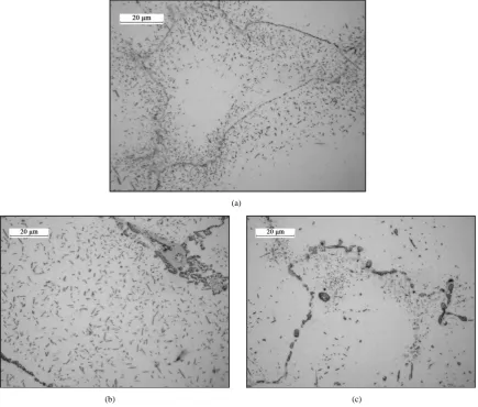 Figure 13. Microstructure evolution in aged samples at T = 1173 K and different aging times (1000×); (a) t = 16 h, (b) t = 322 h, (c) t = 1000 h