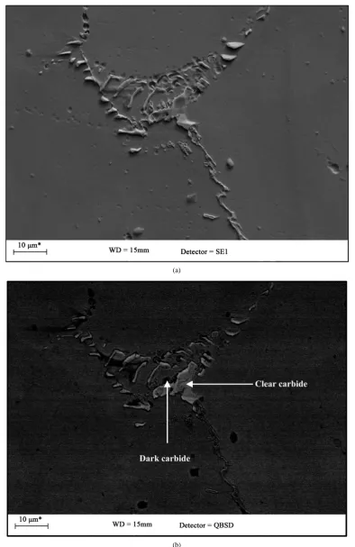 Figure 2. SEM images of as-cast alloy tube (3000×): (a) as-cast shown using secondary electrons; (b) as- cast shown using backscattered electrons